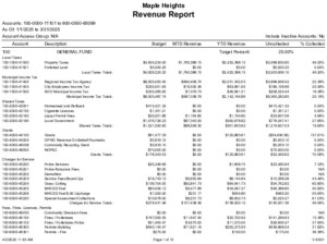 Icon of Revenue Report- March 2025