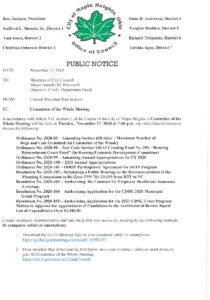 Icon of November-17-2020-Meeting-Notice